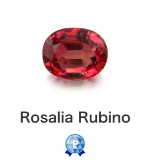 Rosalia Rubino先生