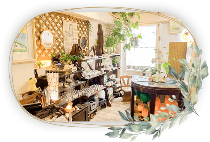 ヒーリングサロン DOLPHIN（ドルフィン）【閉店】