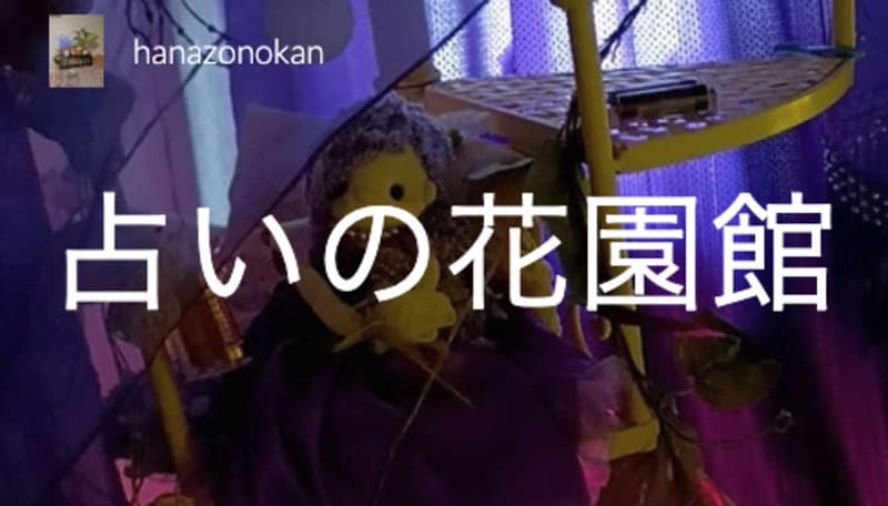 占いの花園館｜新上玲那（しんじょうれいな）先生