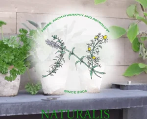 Naturalis