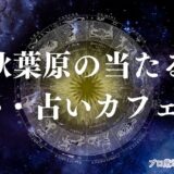 秋葉原 占い